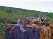 Benue Attack: 16 Killed As Gunmen Raid Otukpo, Kwande Communities