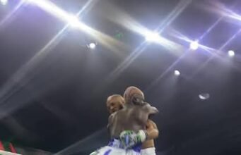 Portable Loses Celebrity Boxing Rematch To Charles Okocha
