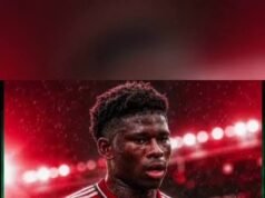 Baleba Completes £65m Move From Brighton To Manchester United